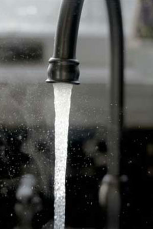 Curated Kitchen Curtains